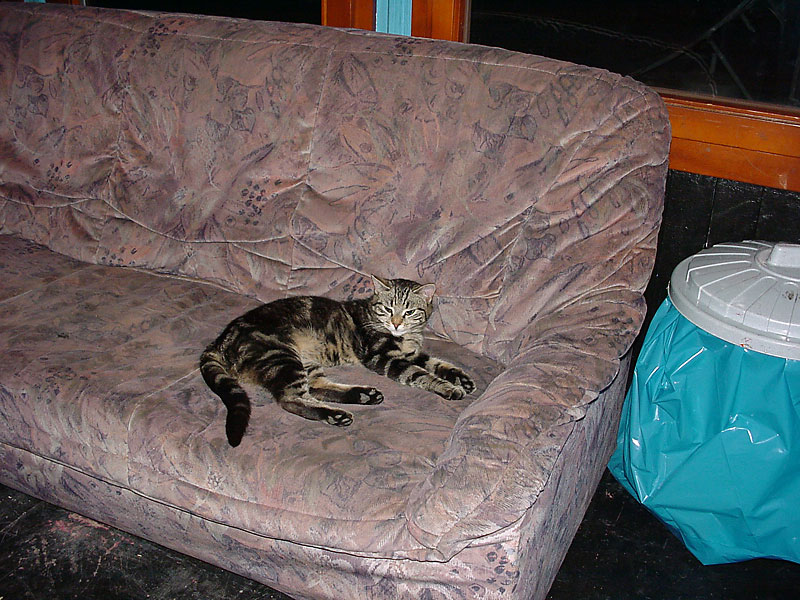 cbw@beatbaracke200304-040